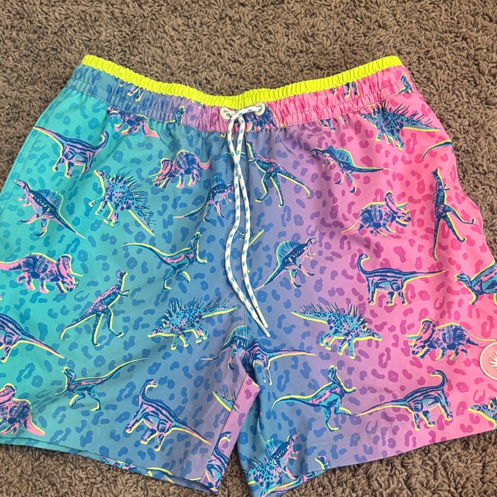 Neon Rainbow Dinosaur Swim Trunks Chubbies Dino Delights S 5.5 inseam